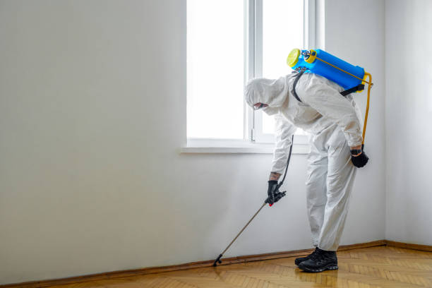 Best Residential Pest Control  in Ruckersville, VA